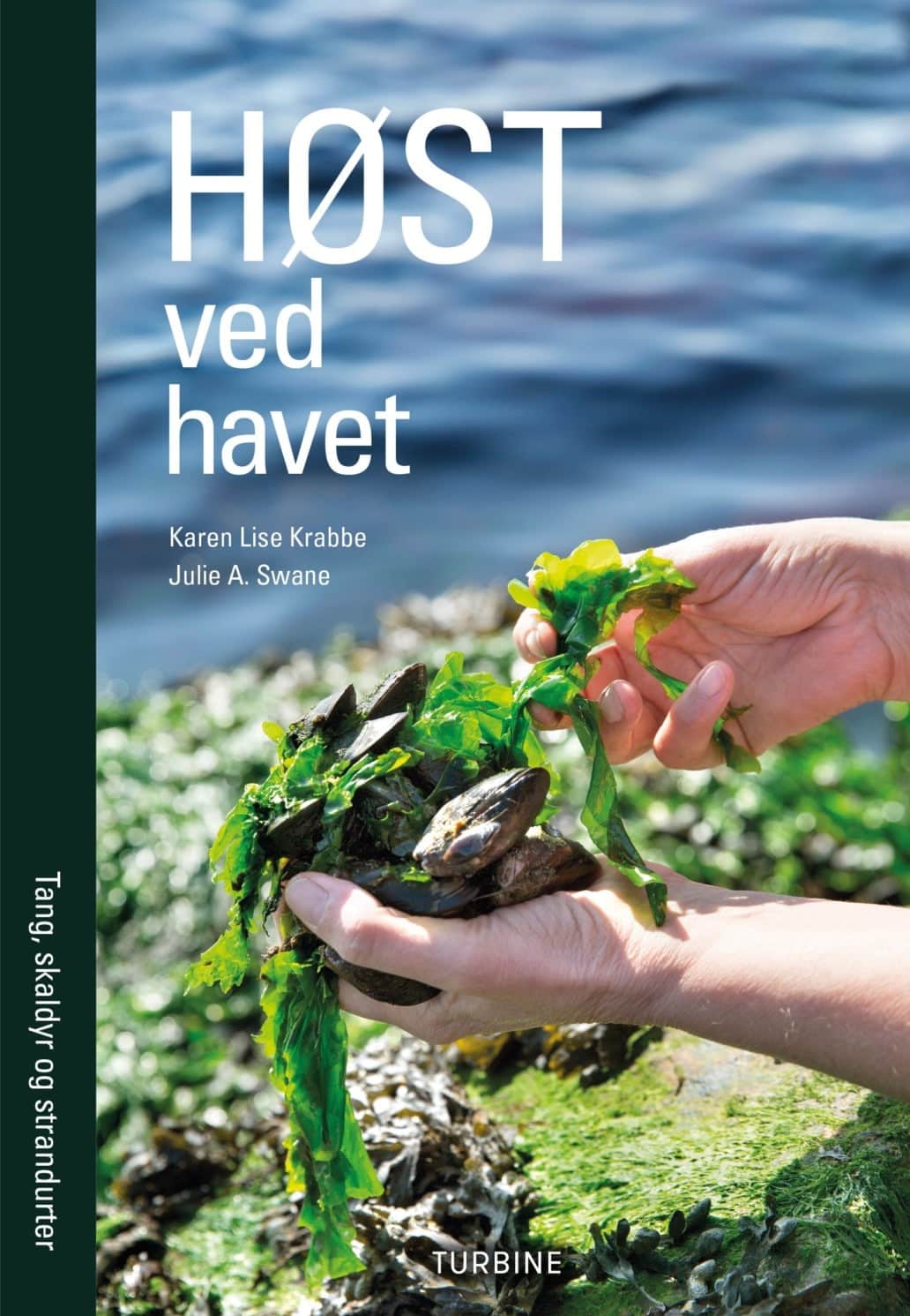 Billede af Høst ved havet